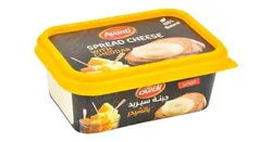 Avanti Cheddar Cheese Spread - 240 Gr