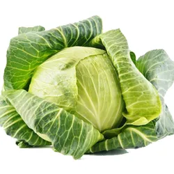 White Cabbage - 1 Pc