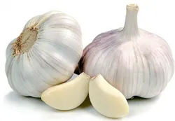 Local Garlics