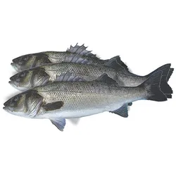 Karous