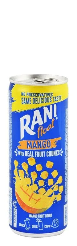 Rani Mango Float Drink With Real Fruit Pieces - Preservatives Free - 240 Ml