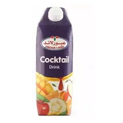 Obour Land Cocktail Juice - 1L