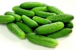 Imported Baby Cucumber - ( By Weight )