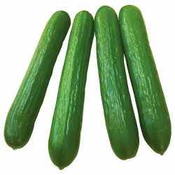 Cucumbers - 1 Kilo