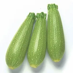Zucchinis - 1 Kilo