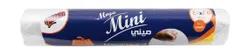 Queen Mega Mini Refrigerator Bags (40X25Cm) - 100 Per Pack