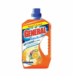 General All In One Floor Cleaner With Fruits Scent - 730 Gm