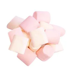 Magical Marshzone Marshmallows -65G (Assorted)