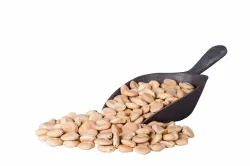 Smart Value Lupine Beans-720G