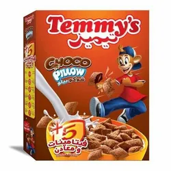 Temmy's Choco Pillow - 500G