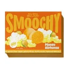 Mochi Ice Cream With Mango Alphonso - 192G