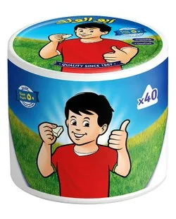 Jibnat Abu Alwalad Cheese Triangles (40 Portions) - 560 Gr
