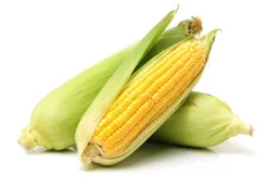 Sweet Corns - 3 Pieces